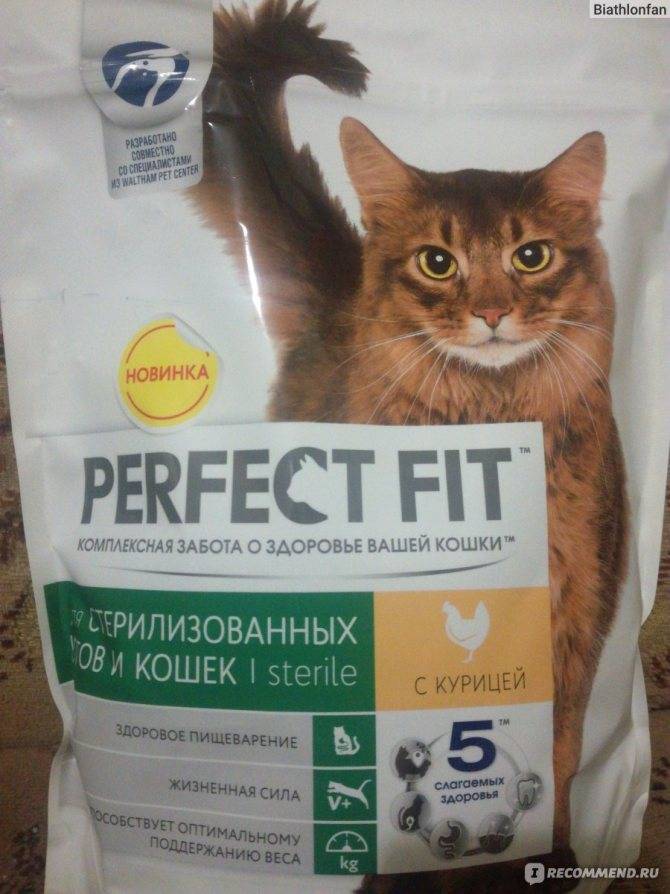 Корма для кошек perfect fit или корма для кошек brit - какие лучше, сравнение, что выбрать, отзывы 2021