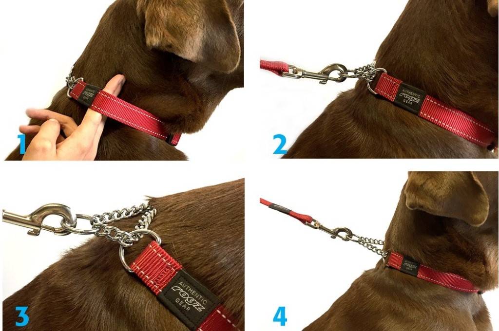Как сделать поводок для собаки своими руками, пошаговое фото