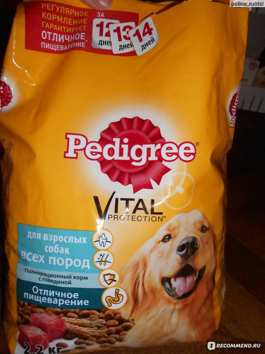 Корм для собак педигри (pedigree): отзывы ветеринаров, состав