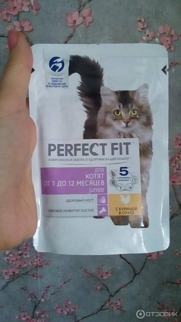 Честный обзор сухих и влажных кормов от perfect fit для котов и котят