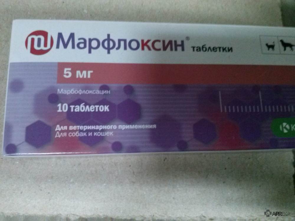 Марфлоксин Для Кошек Где Купить