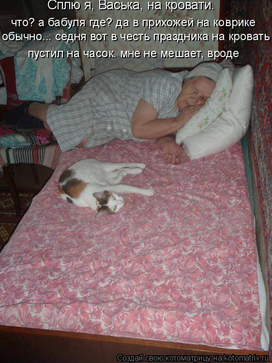 Почему нельзя спать с кошкой? все за и против. советы ветеринарного врача | домашние животные - самое важное | дзен