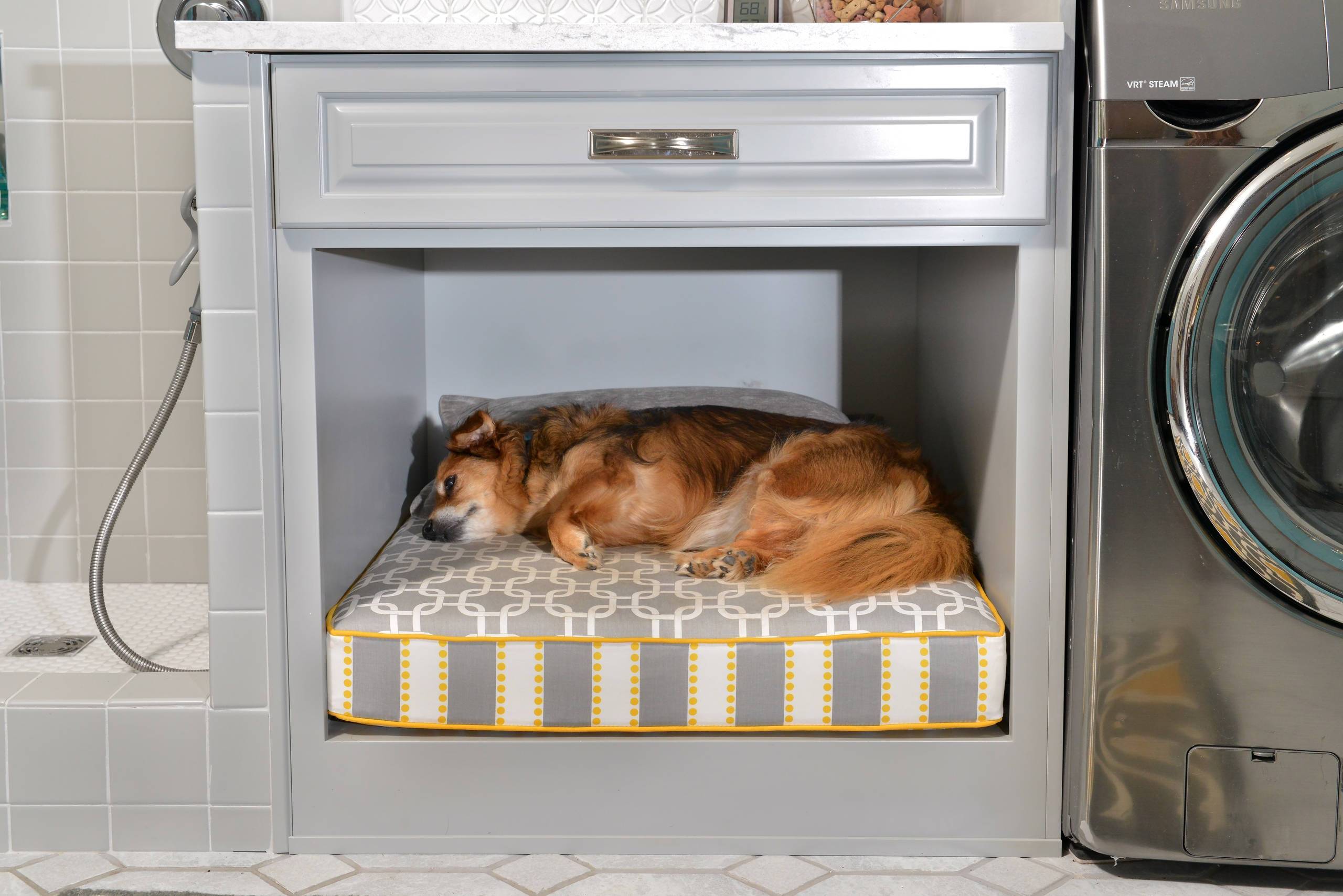 ᐉ как выбрать спальное место для собаки: практические рекомендации - ➡ motildazoo.ru