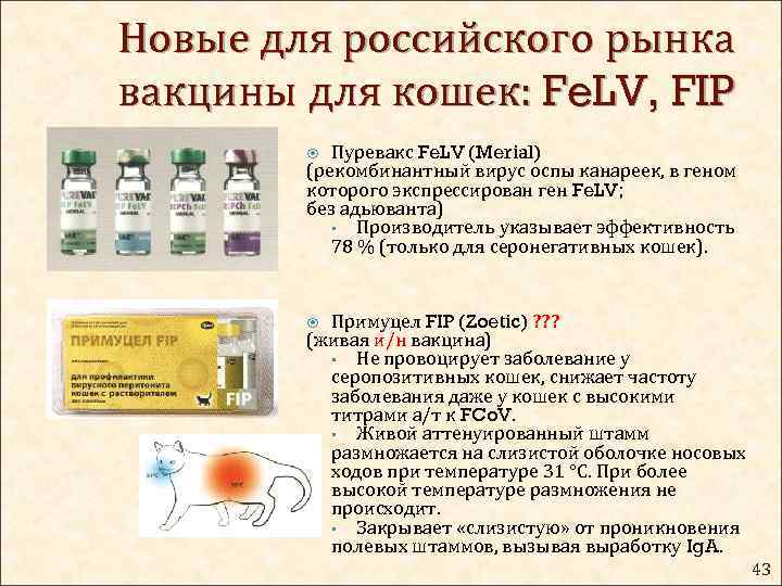 Инструкция по применению вакцины для кошек «пуревакс», показания к прививке