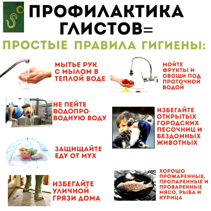 Глисты у птицы – виды, симптомы, фото, лечение, средства