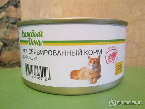 Топ-7 паст для выведения шерсти из желудка кошки