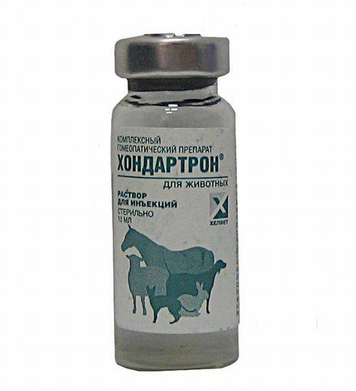 Хондартрон для кошек и собак: состав, формы выпуска, инструкция по применению препарата для животных