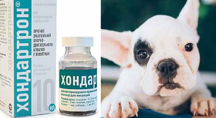 Вся правда об уколах в сустав при артрозе