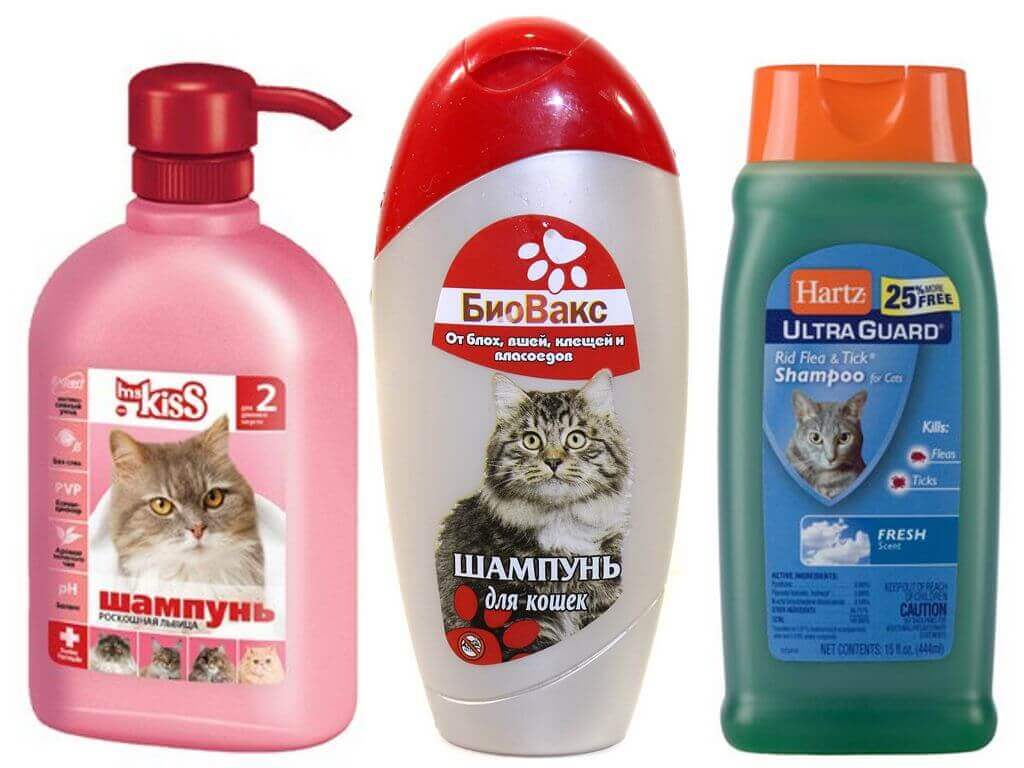 Обзор шампуней от блох и клещей для котят и взрослых кошек: какой лучше, как действуют противоблошиные моющие средства?