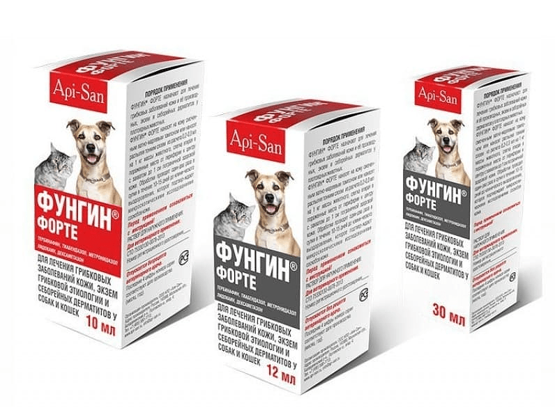 Использование препарата фунгин форте для лечения заболеваний кожи у кошек