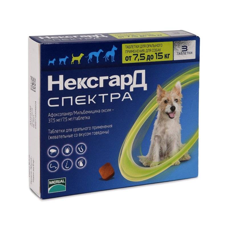 Нексгард спектра для собак – вкусное лекарство