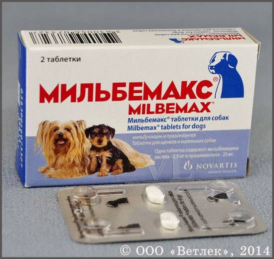 Мильбемакс для собак – и паразитов больше нет