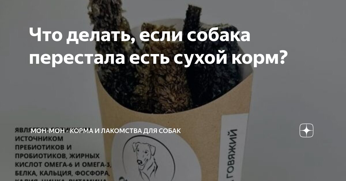 ᐉ почему кошка перестала есть сухой корм? - ➡ motildazoo.ru