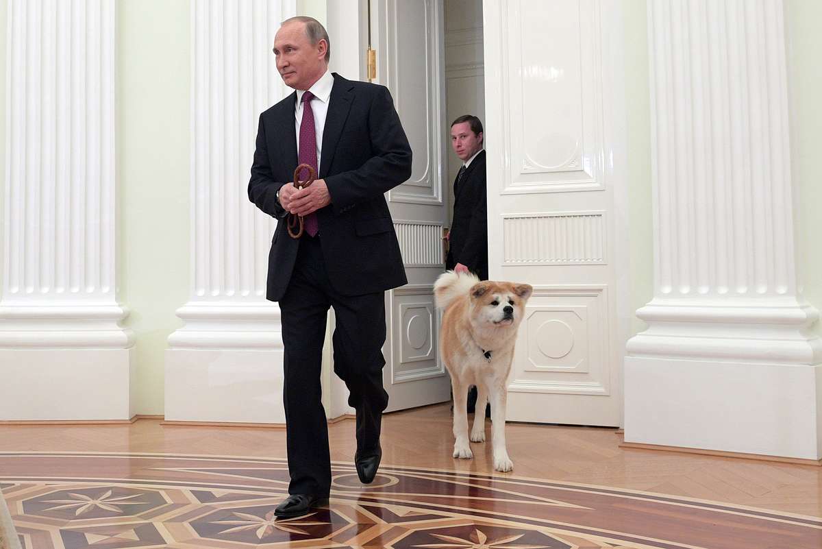 Владимир путин и его собаки .давайте посмотрим на питомцев