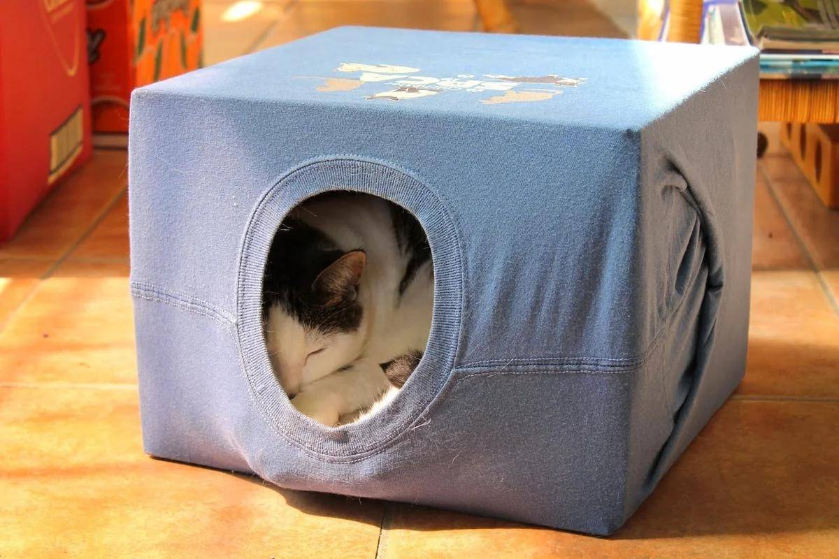 Домик для кошки из картонной коробки. мастер класс: инструкция, как сделать своими руками, чертежи с размерами, фото