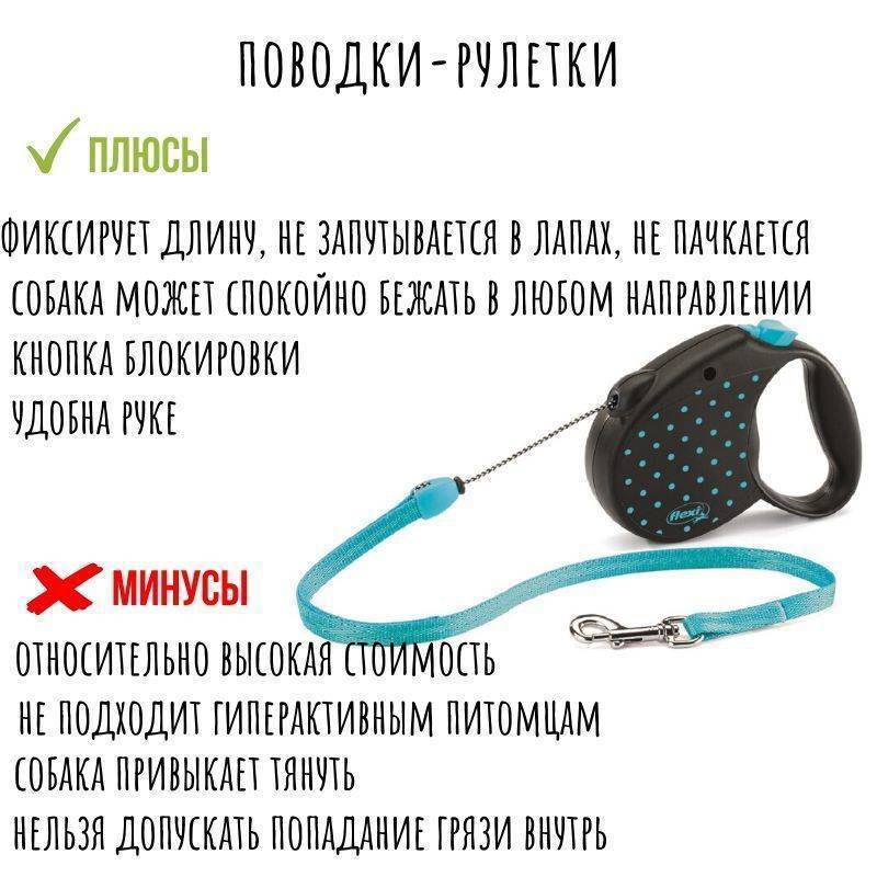 Поводки для собак: типы, описания, советы по выбору
