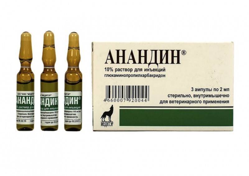 «анандин» для собак: показания, форма выпуска, применение