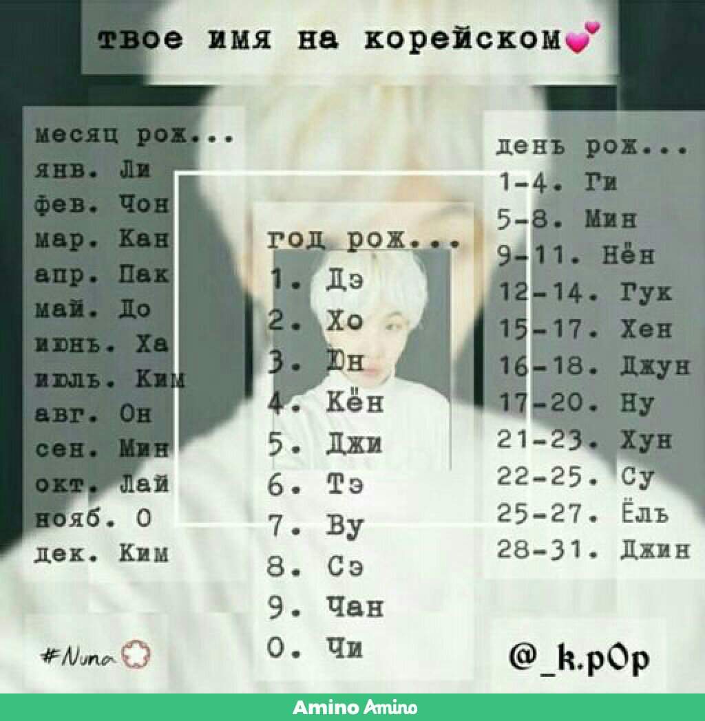 Японские клички для собак — выбираем имя со смыслом
