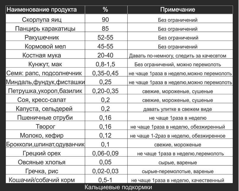 Крысам можно миндаль. Таблица питания крыс. График питания крыс. Таблица кормления крыс. Таблица рациона питания крыс.