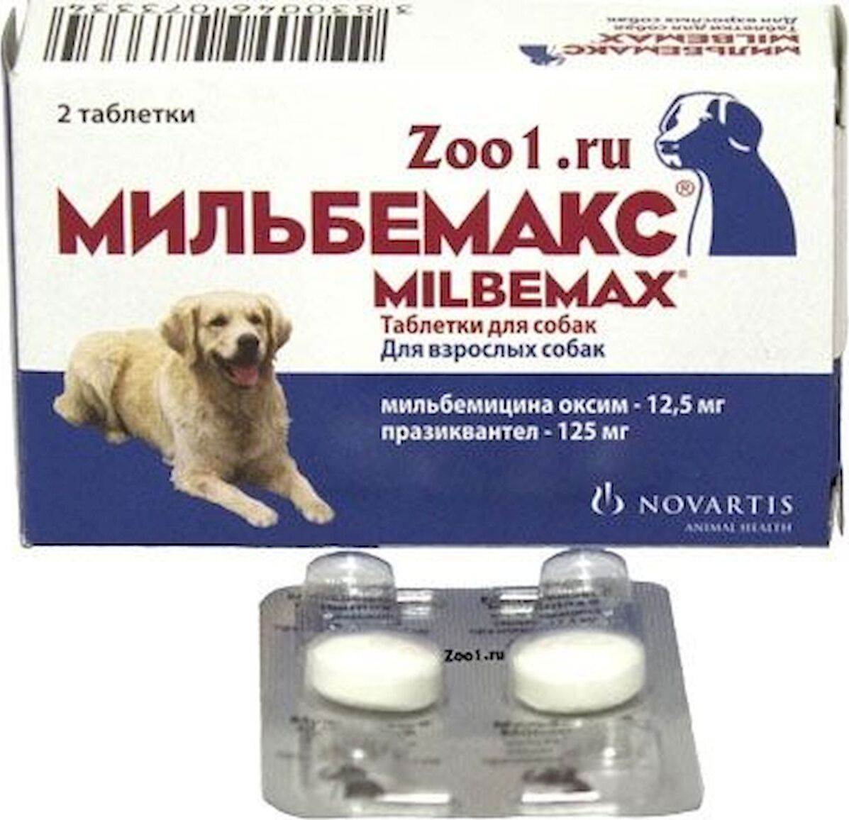 Мильбемакс для собак: инструкция по применению