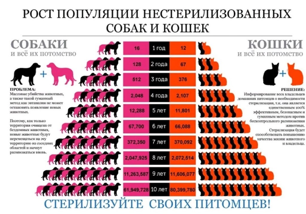 Рейтинг самых опасных продуктов и веществ для кошек и собак