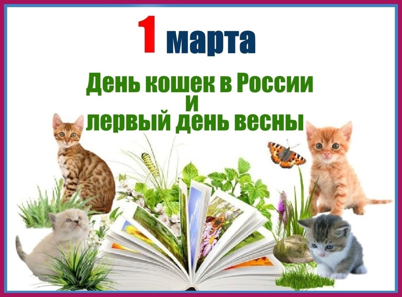 День кошек: 8 августа всемирный день кошек, история праздника, как отмечают в разных странах