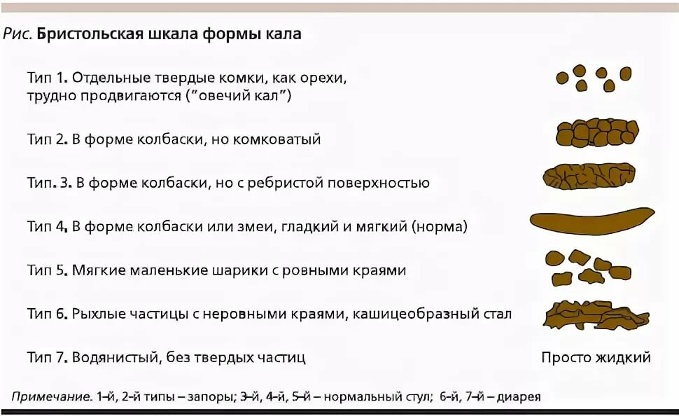 Почему у собаки понос? кровавый, черный понос │ что делать?