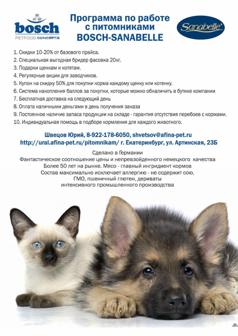 Защита животных: общества, фонды и организации в россии, украине и за рубежом, история создания и деятельность