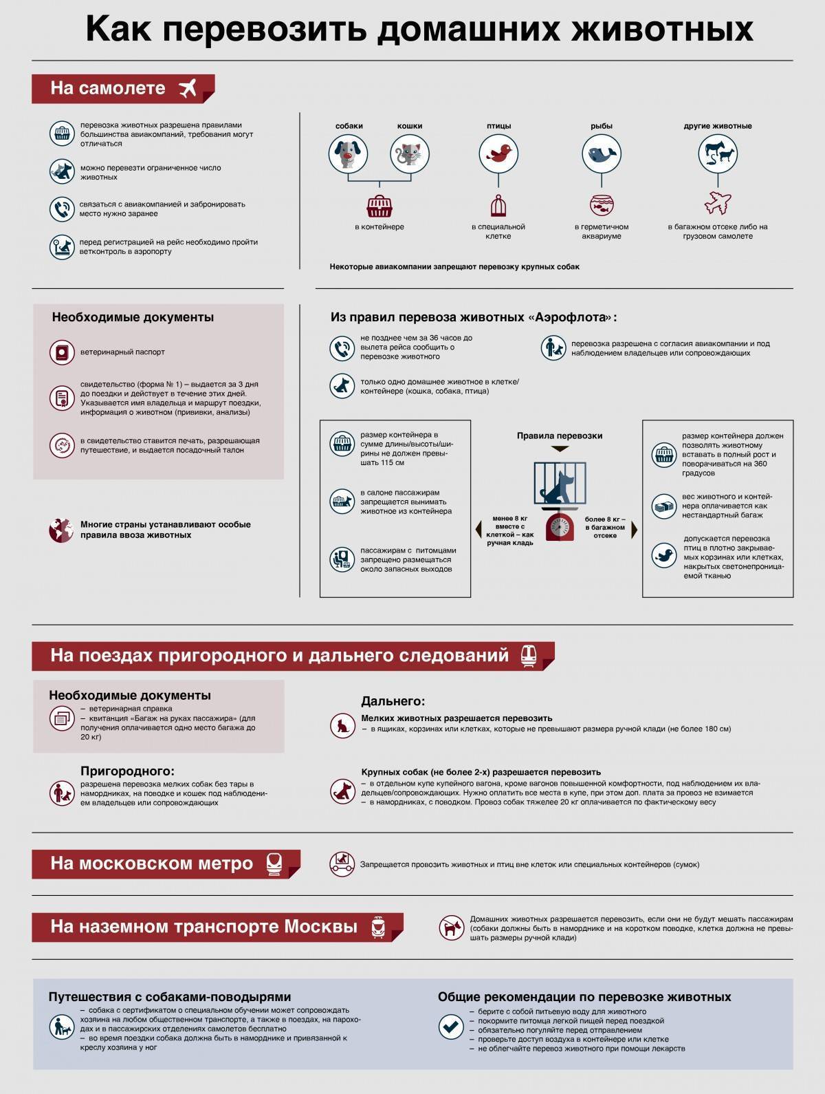 Перевозка животных в поезде ржд 2020(кошек): как перевезти кота по россии жд транспортом (скачать правил провоза)