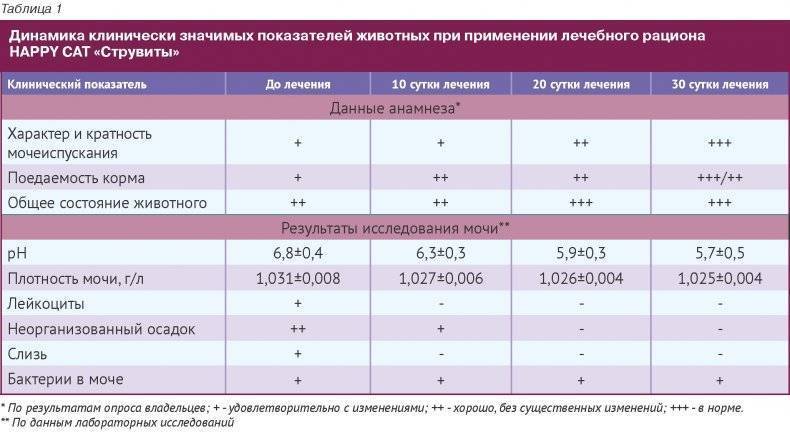 Повышенный белок в моче у кота