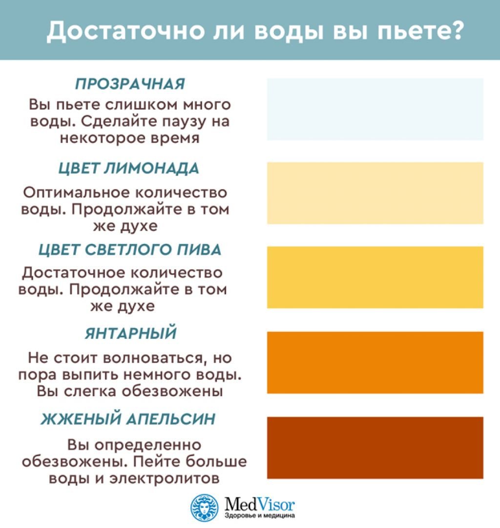 Чем болеют морские свинки?