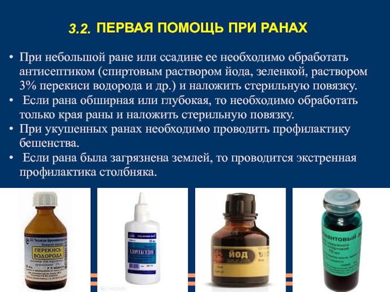 Раны у кошек - первая помощь и и обработка, лечение гнойных ран. ветеринарная клиника "зоостатус"