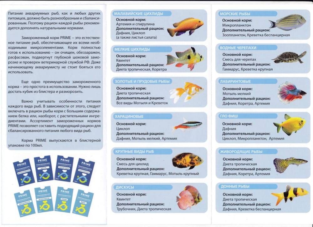 Едят ли собаки рыбу и какую | ваши питомцы