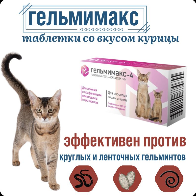 Препарат гельмимакс: надёжное средство от паразитов у кошек