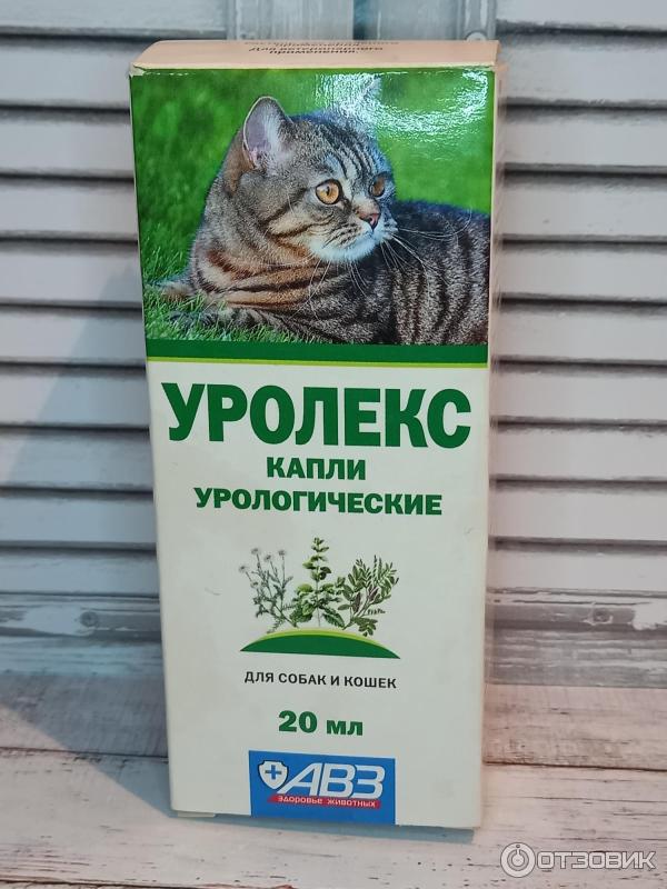 Препарат уролекс при мочекаменной болезни у кошек