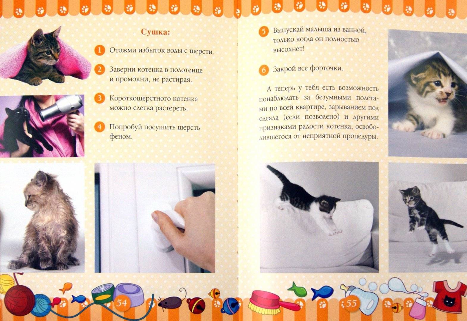 Как ухаживать за котятами