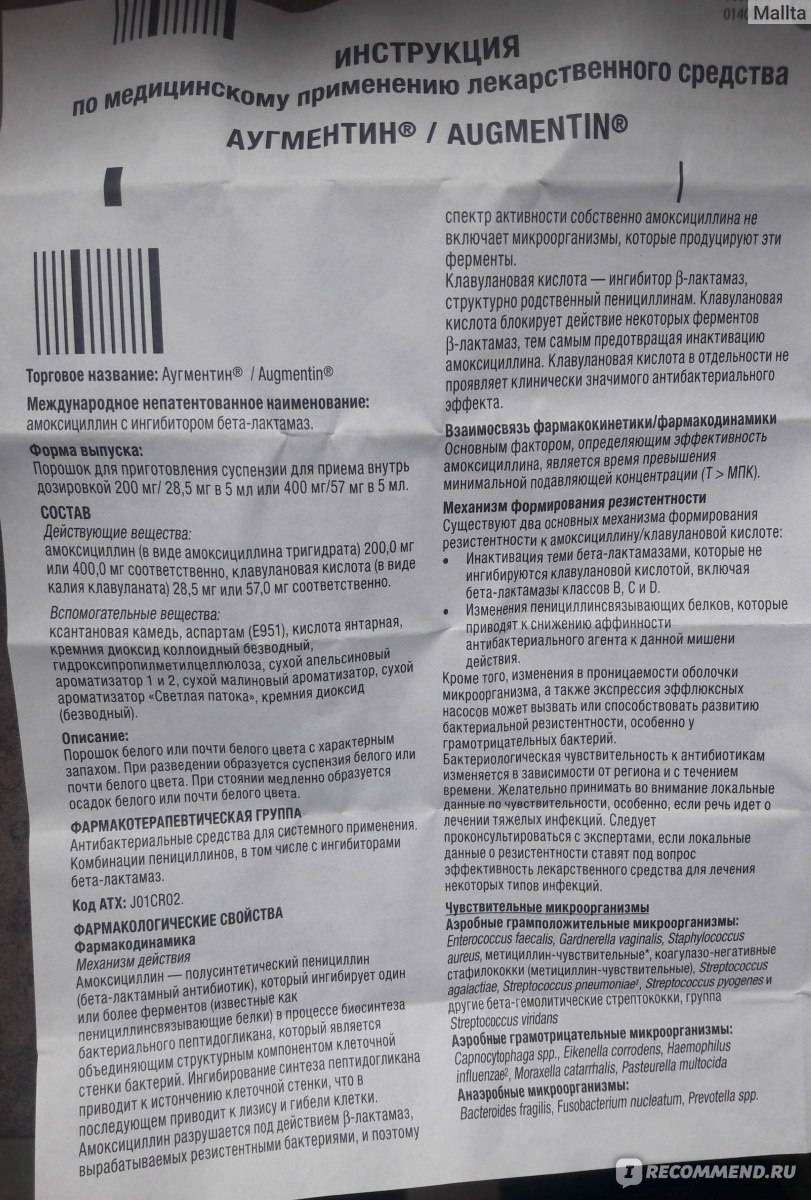 Амоксициллин для кошек - инструкция по применению препарата