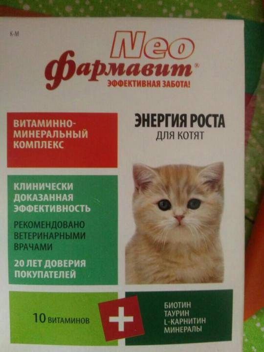 Обзор витаминов для кошек и котят: какие необходимы и как давать, отзывы