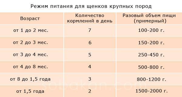Как вкусно готовить натуралку для собаки?