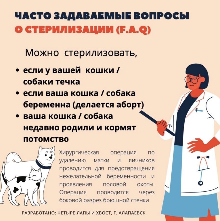 Уход за собакой после стерилизации в домашних условиях