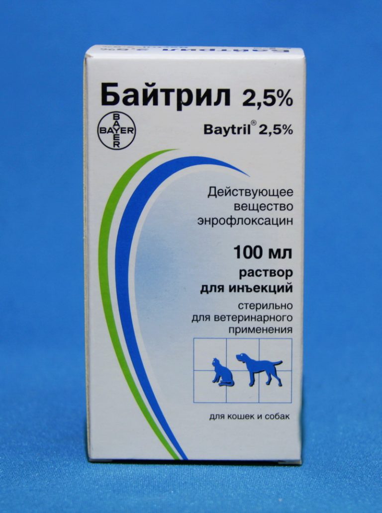Байтрил для животных: показания и противопоказания, инструкция по применению лекарства с дозировками