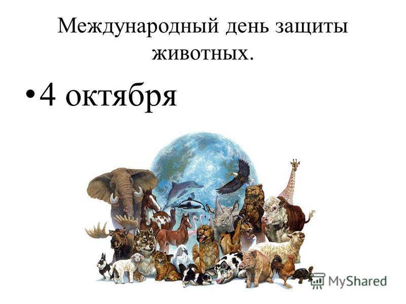 4 октября –  всемирный день защиты животных — заповедник черные земли — официальный сайт