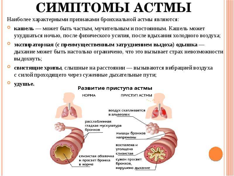 Клиническая картина обострения бронхиальной астмы включает