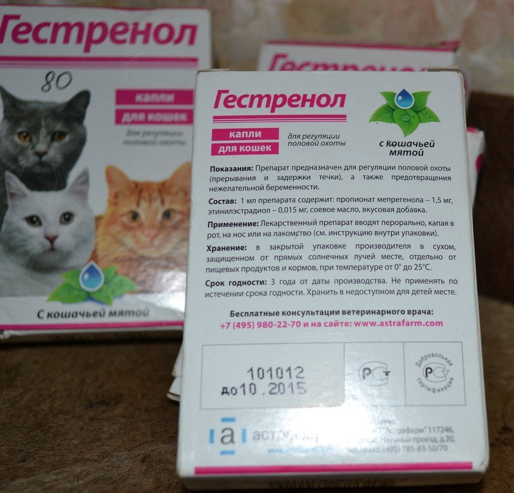 Инструкция по применению противозачаточных капель и таблеток для кошек гестренол