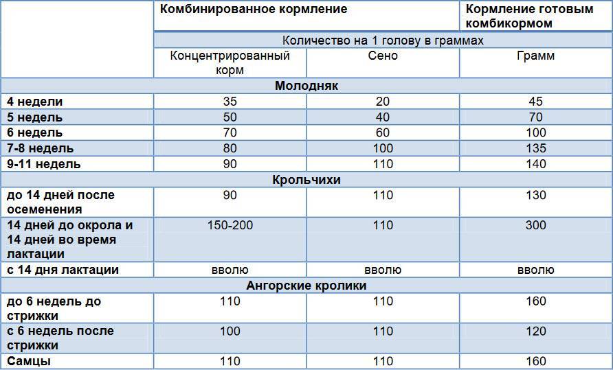 Рацион питания кроликов: правила составления наиболее сбалансированного ао "витасоль"