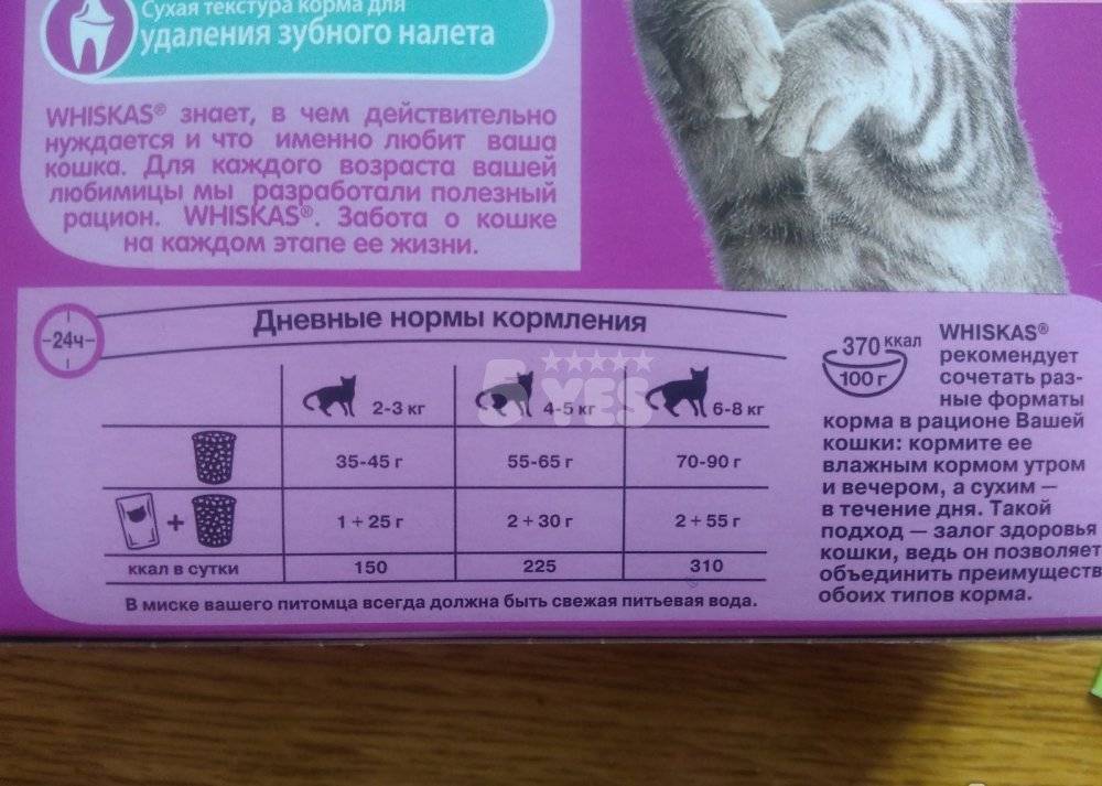Топ-17 лучших кормов для стерилизованных кошек — рейтинг 2021