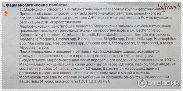 Марфлоксин для кошек: инъекции и таблетки, инструкция по применению