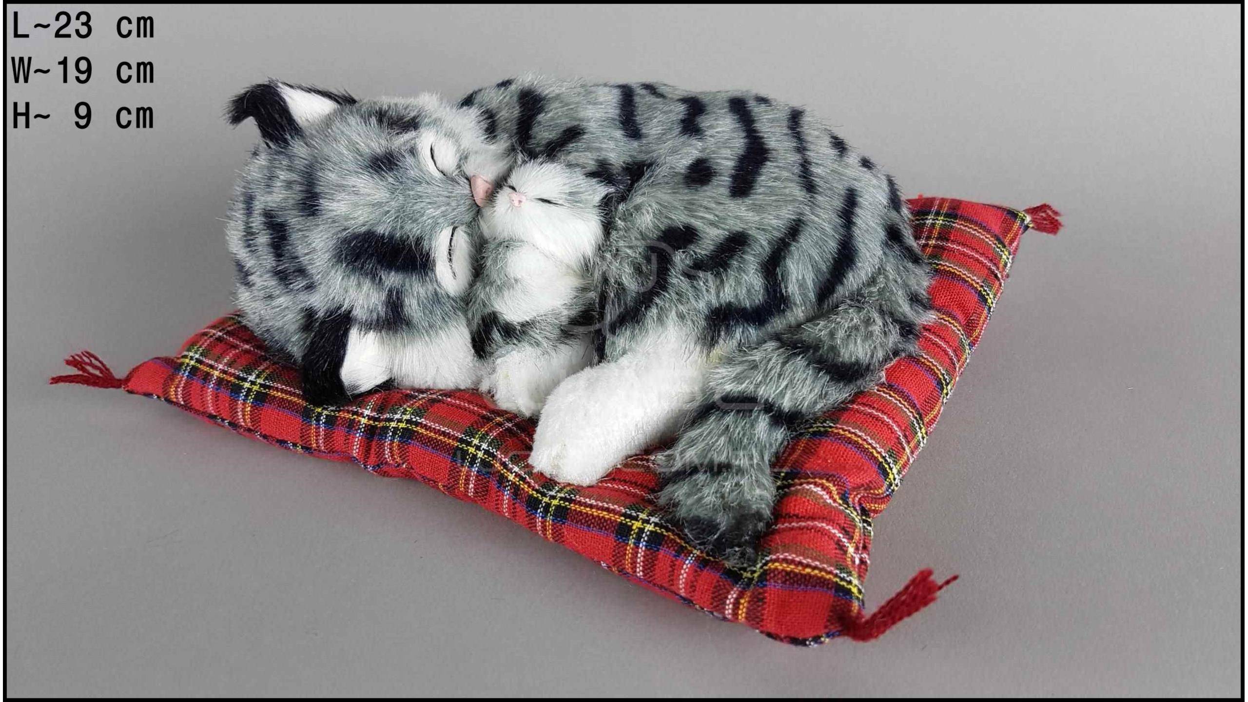 Какую опасность представляет кошка, которая спит на подушке - gafki.ru