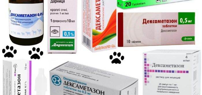 Дексаметазон для кошек - инструкция по применению препарата