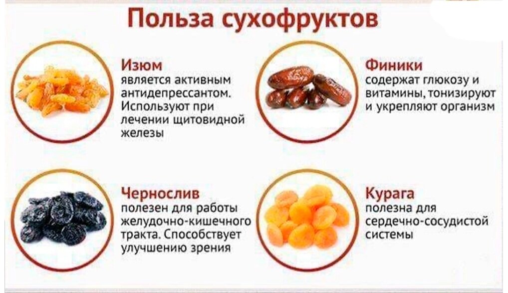 Фрукты и ягоды в рационе хомяка